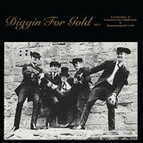 فرجينيا: "Diggin 'For Gold Volume 2" LP